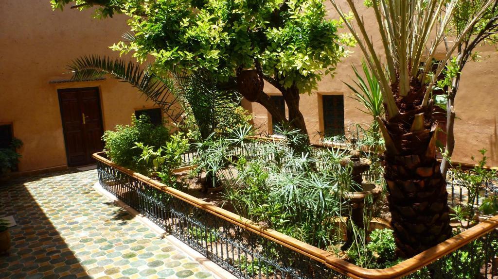 Riad Timadrouine Timatraouine Kültér fotó
