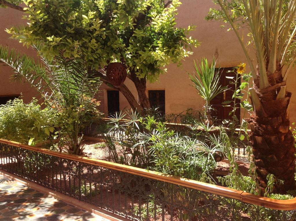 Riad Timadrouine Timatraouine Kültér fotó