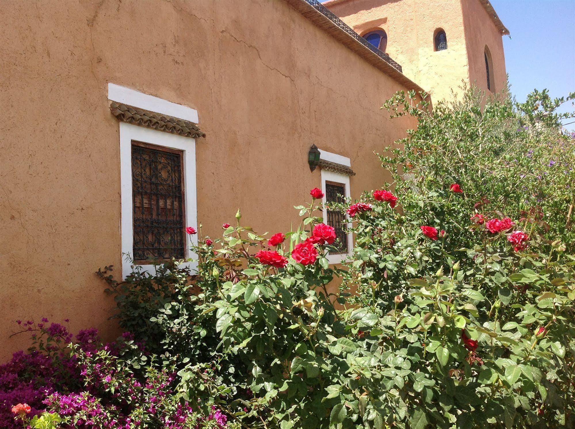 Riad Timadrouine Timatraouine Kültér fotó