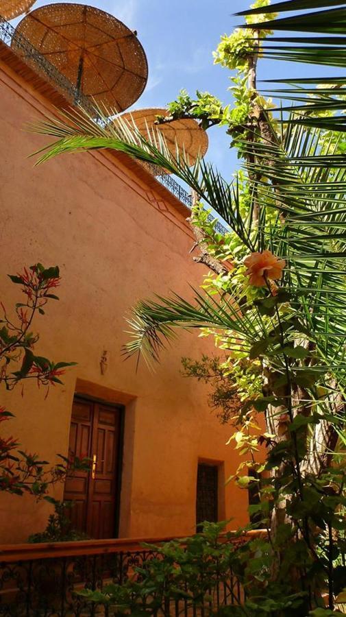 Riad Timadrouine Timatraouine Kültér fotó